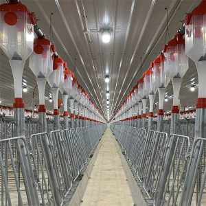 Автоматична система годування свиней з дисковим ланцюгом